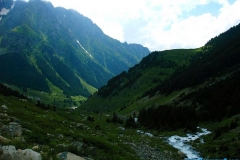 elevit_25