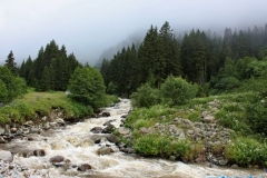 elevit_26
