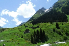 elevit_29