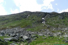 elevit_30