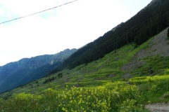elevit_31
