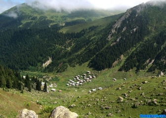 amlakit_9