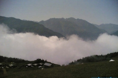 avusor_5