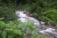 ayder_13