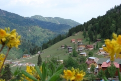 ayder_25