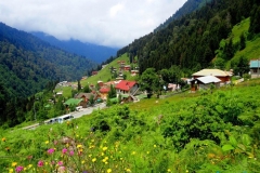 ayder_27