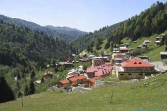 ayder5