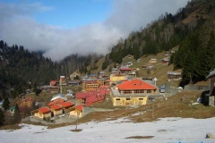 ayder4