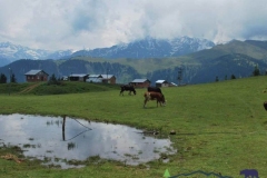 badara.yaylasi-2