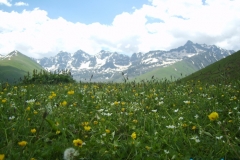 cicekli_7