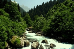 firtina_25