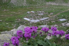 hapivanak_3