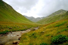 hapivanak_7