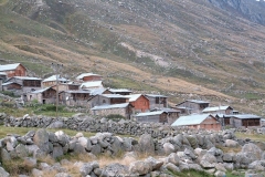 palovit_3