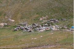 palovit_4
